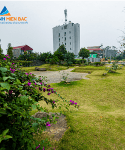 the-spring-town-tien-do-1
