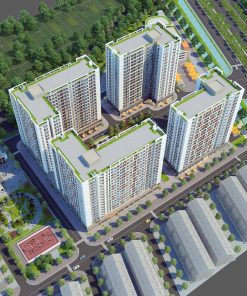 VEGA HOMES BẮC GIANG