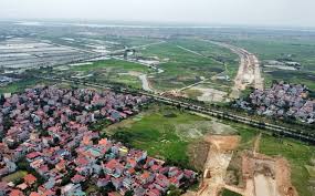 đấu giá