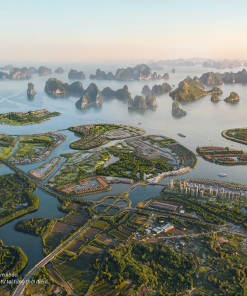 Quy hoạch tổng thể